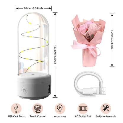 2-in-1 LED Rose Bouquet Light with Bluetooth Speaker – Glass Cover Gift