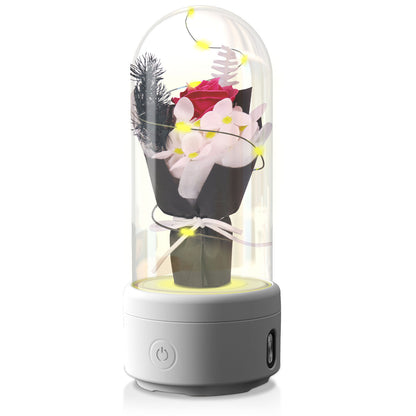 2-in-1 LED Rose Bouquet Light with Bluetooth Speaker – Glass Cover Gift